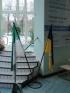 Galerie - Novoroční závody 2012