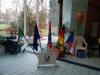 Galerie - Novoroční závody
