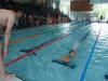 Galerie - Závody rodičů a dětí - 15. ročník